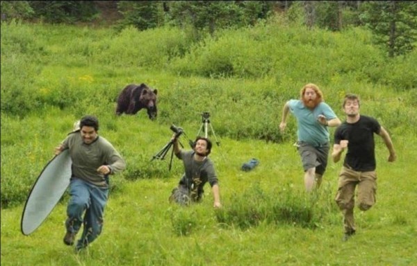 120948024-5ac857d2-a9ec-4531-ba31-bd7c7f972a0e