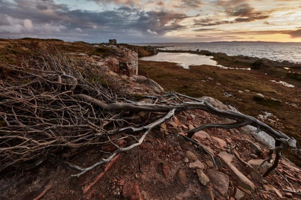 skane-landscape-2100