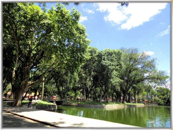 7040195081_5bc0dd9950_k