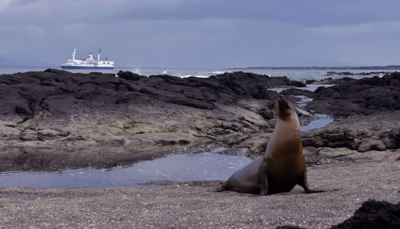 12365397875_464575898f_k