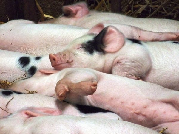 7956977364_026d69355e_z