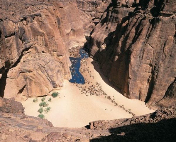 24_Kamele_ziehen_zur_Wasserstelle_im_Ennedi-Gebirge_im_Tschad