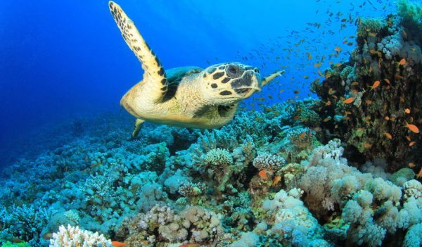 event_1290-890-520-19700101010000