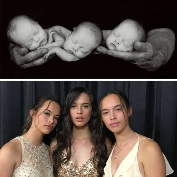 13581911_10153918167578541_4333209530301293085_o