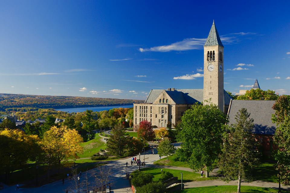 14729291_10154514612980132_3174427024546423573_n