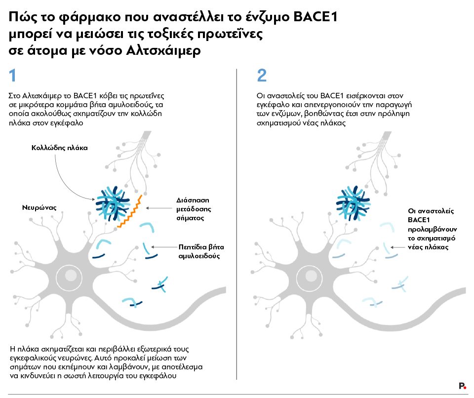toxic proteins in Alzheimer_P