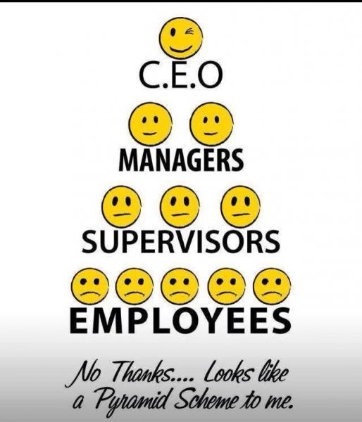 ceo-managers-supervisors-employees...-no-thanks-looks-like-a-pyramid-scheme-to-me
