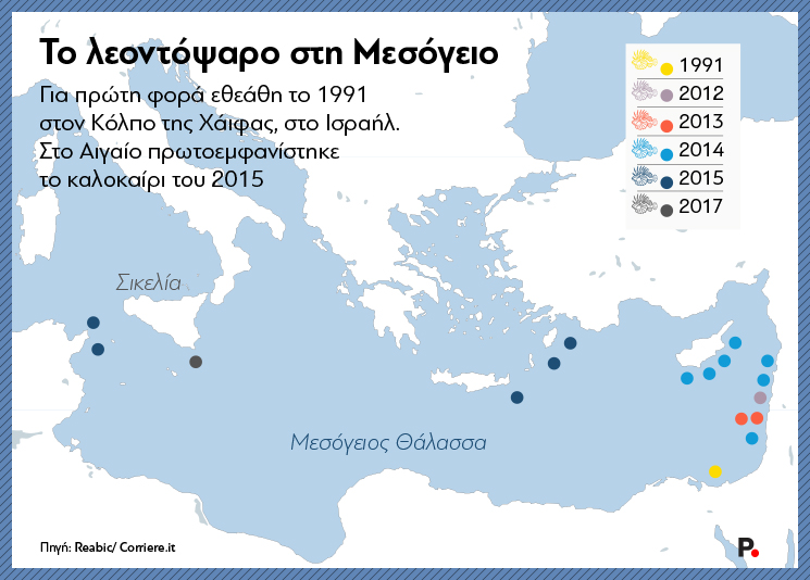 lionfish_Med_Protagon-New
