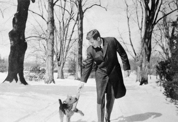 Original caption: "Charlie" and the Late President. Glen Ora, Virginia: This photo, made in March 1962 by Washington correspondent Fred Blumenthal, shows the late President John F. Kennedy indulging in a bit of play with the family's Welsh terrier, "Charlie," at the Presidential retreat here. March 1962 Glen Ora, Virginia, USA