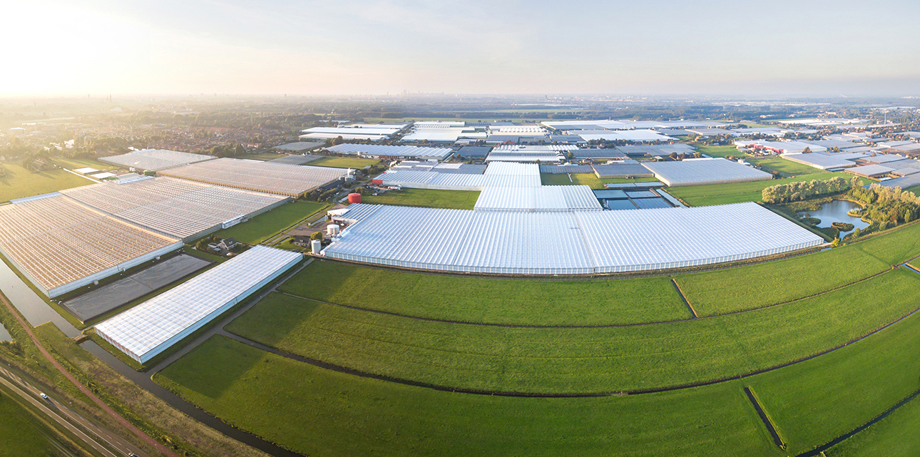 Aerial view of greenhouse-Netherlands_1290