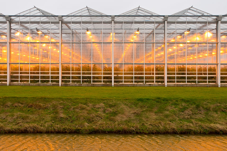 greenhouse in fields Netherlands_980