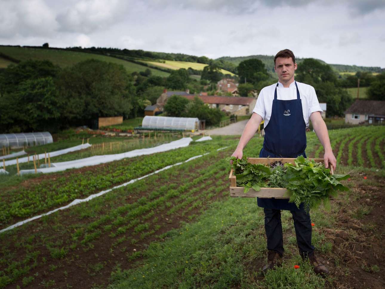 black swan oldstead- tommy garden