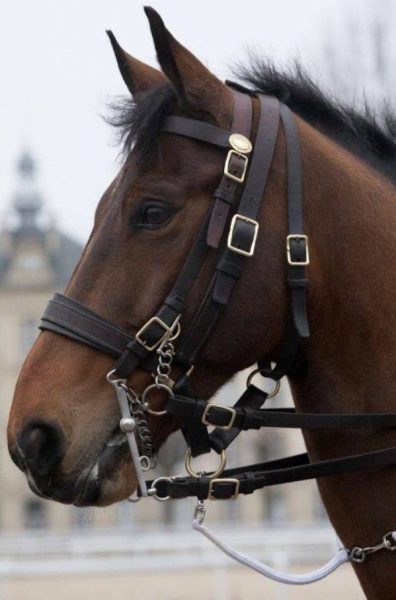 26229670_1755454997822302_4126625310035436283_n