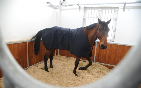 26677751_1238044429662991_1983103433097321508_o