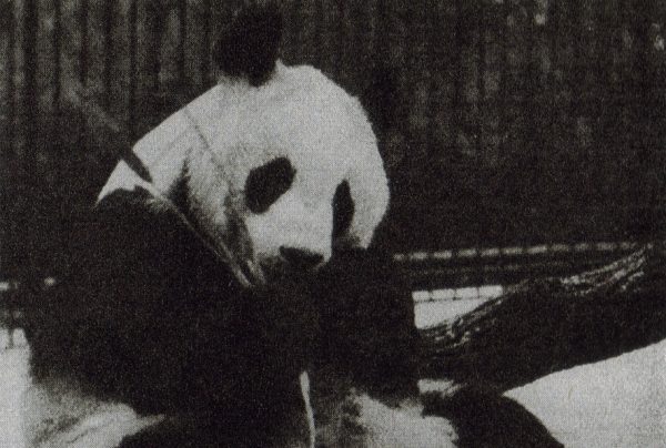 Zoo-Leipzig-Happy-001-1