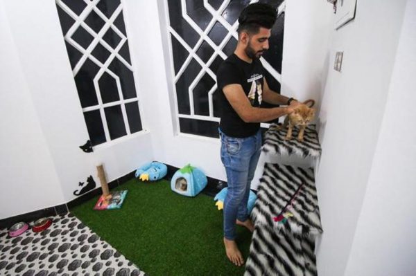 Κανάκεμα και χτένισμα, περιλαμβάνει το μενού των υπηρεσιών