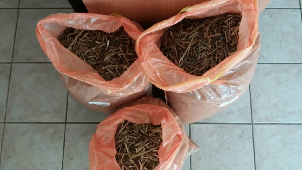 15052018paroysiasisterea002