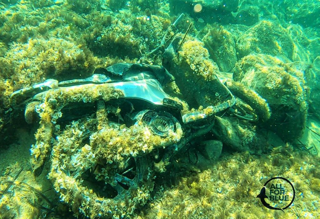 34486576_1019932591494145_5991597571125018624_o