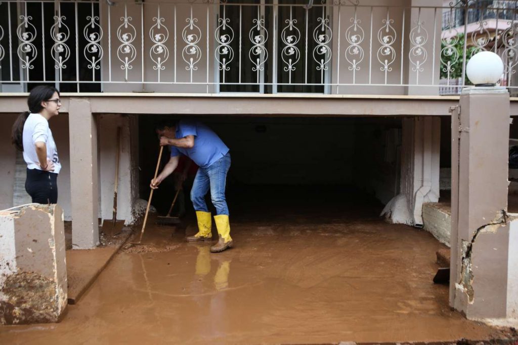 ds1_6128-11530082016