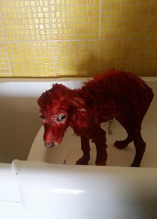 37123199_640871932965339_1577619325513105408_n