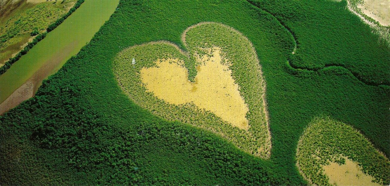 Η κλιματική αλλαγή στην επιστήμη, στη λογοτεχνία και στο σινεμά