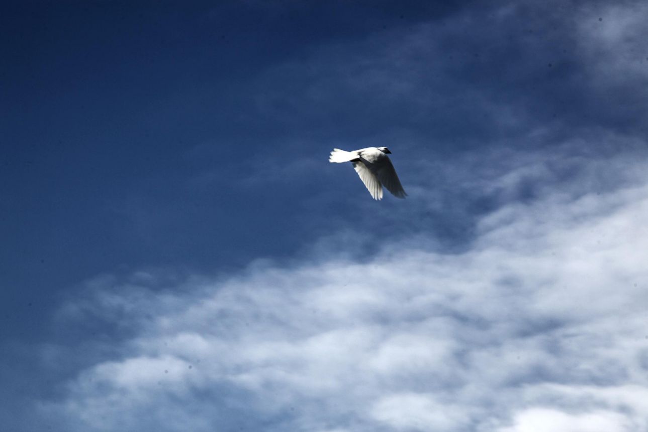 Εφτασαν τα Φώτα – Πού ο φωτισμός;