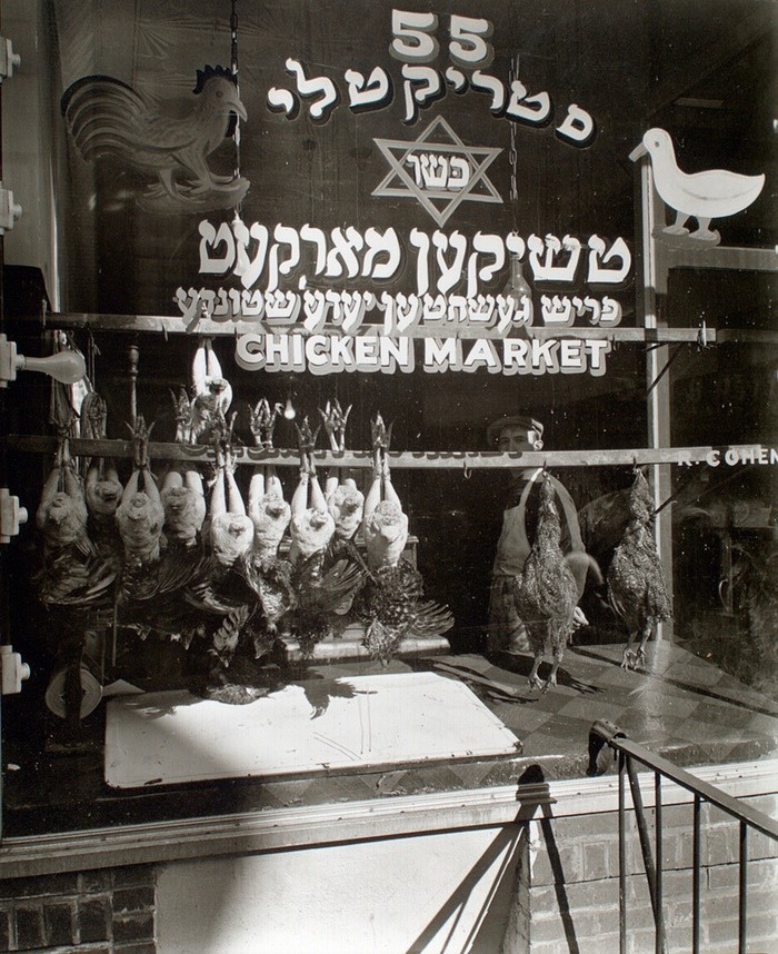 Οι κότες σε πλήρη θέα στη βιτρίνα ενός εβραϊκού καταστήματος πουλερικών στην οδό Ηστερ στο Κάτω Ανατολικό Μανχάταν (Lower East Side).