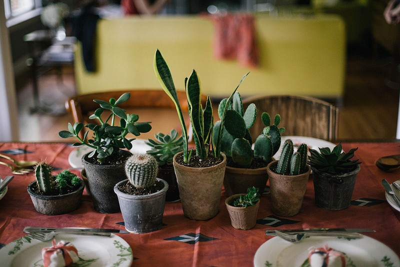 Οδηγίες συμπεριφοράς προς κάκτους
