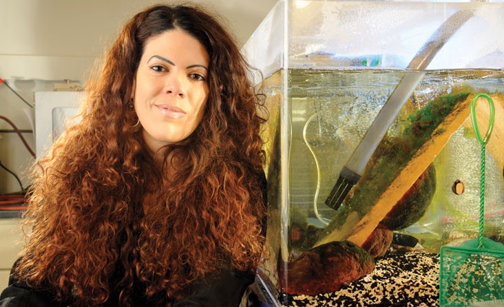 Σχεδιάζοντας το πανεπιστήμιο του αύριο