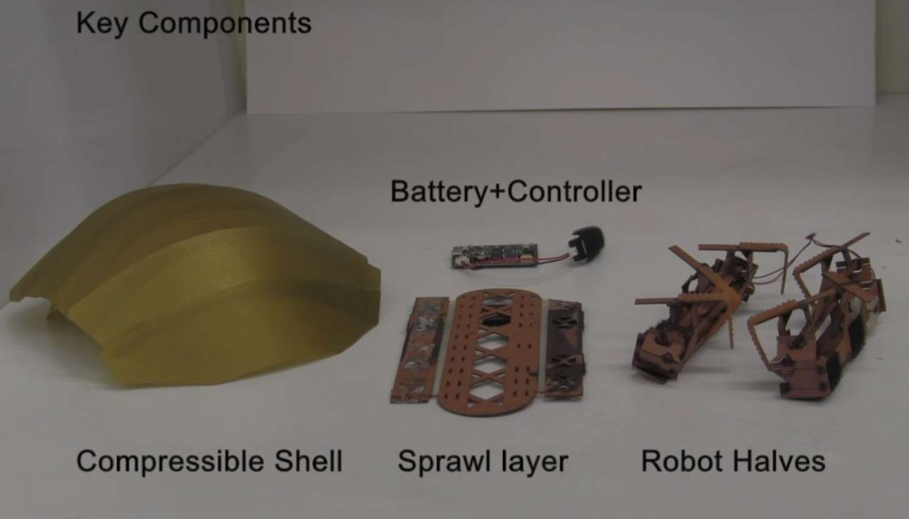 Μια κατσαρίδα θα μας σώσει