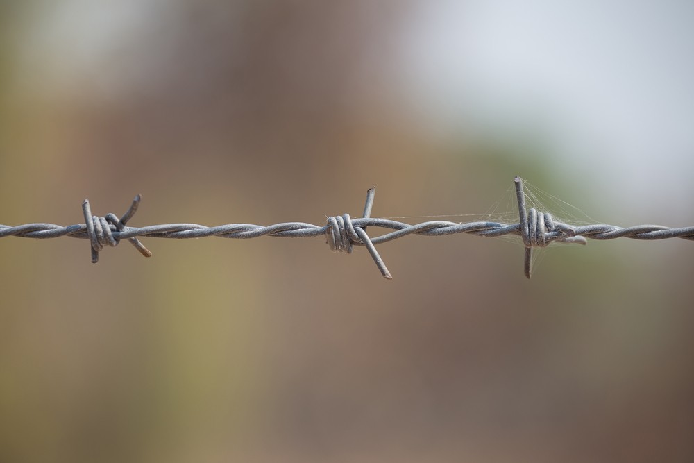 Η μαζική ψυχολογία του «ερωτικού φασισμού»