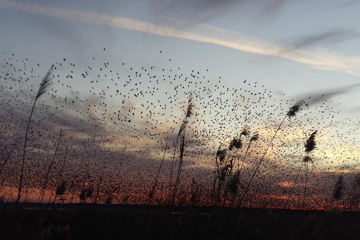 Ο «Αγιος» Φεβρουάριος σαν… άνοιξη