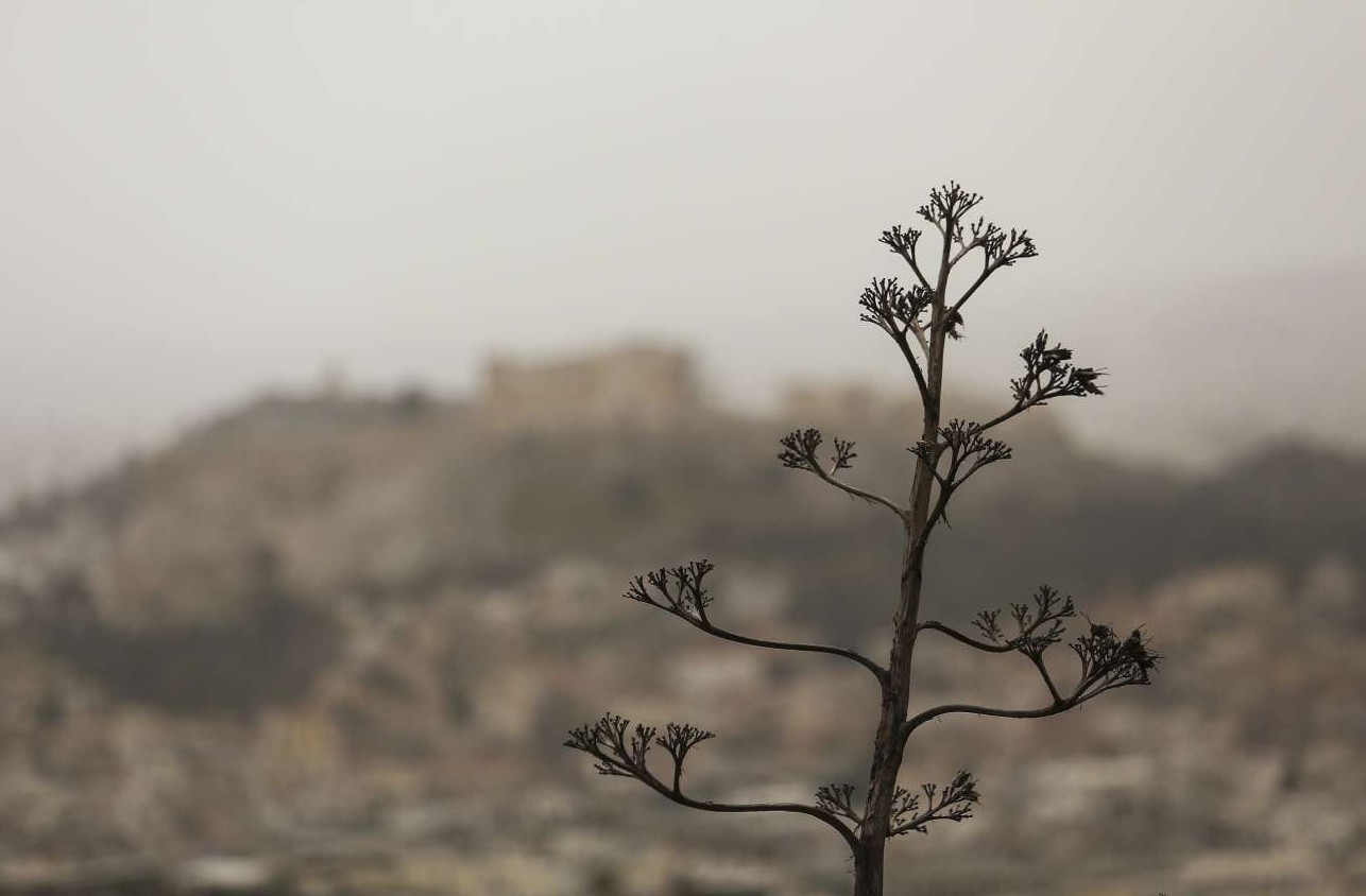 Χάνουμε τον πόλεμο με τη βλακεία