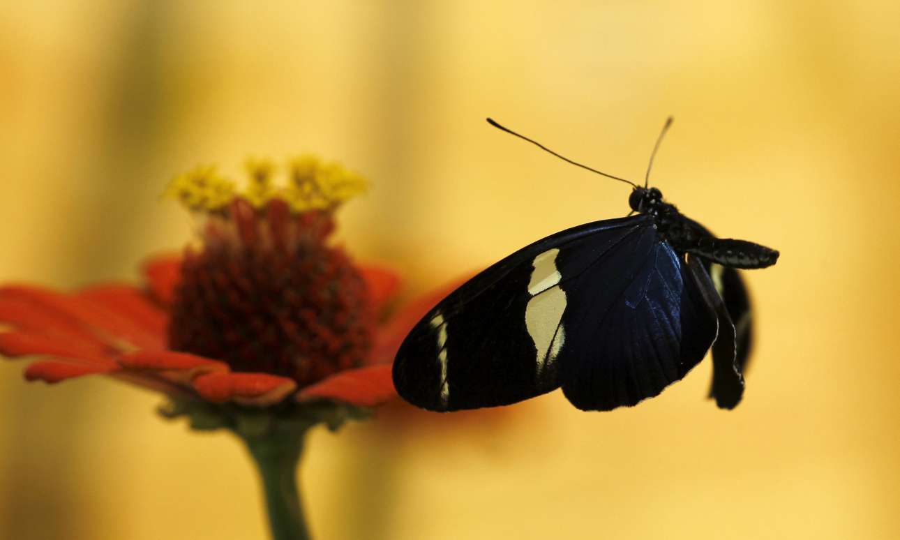 Είπαν κι έγραψαν για την Ανοιξη