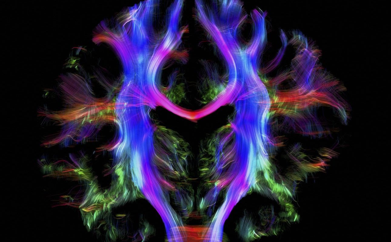 Ιατρική φωτογραφία: Eνας κόσμος που ποτέ δεν βλέπουμε