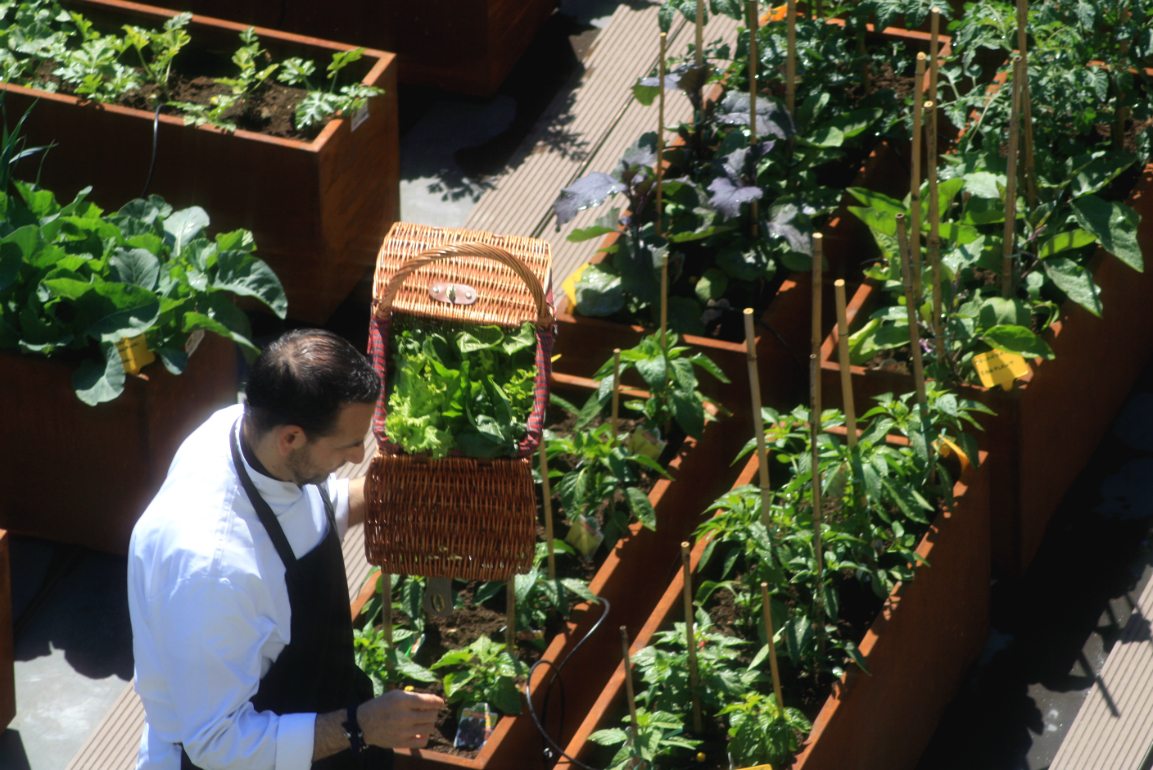 Μποστάνια στα ξενοδοχεία: η τάση που «σώζει» τη σπατάλη φαγητού