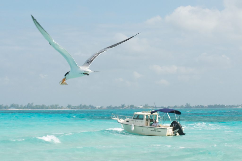 Αυτοί είναι οι πιο όμορφοι φορολογικοί παράδεισοι του πλανήτη