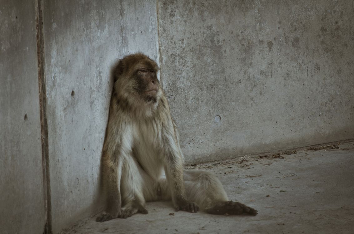 Καταθλιπτική ή ηλίθια;