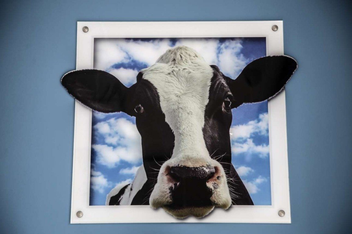 Ο πόλεμος του γιαουρτιού