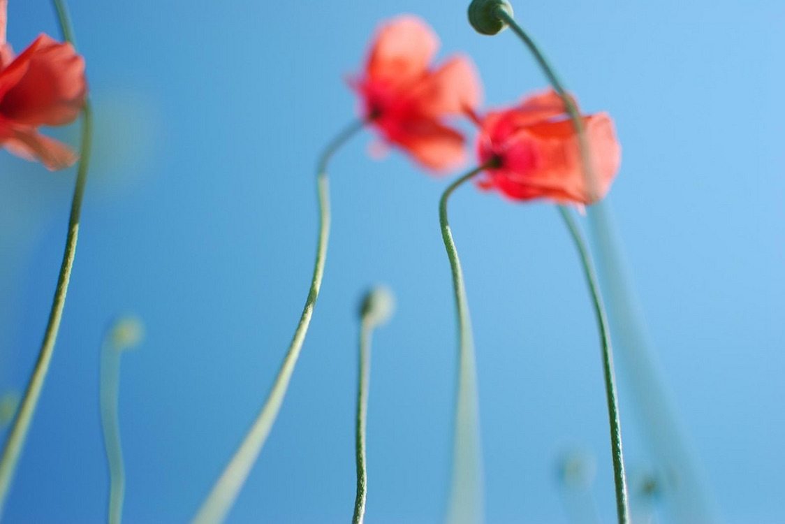 Πάσχα με ψυχή ρεφενέ