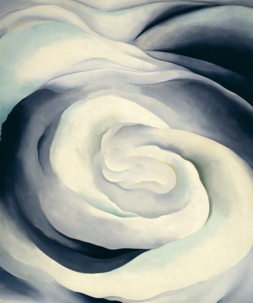 Abstraction White Rose-new