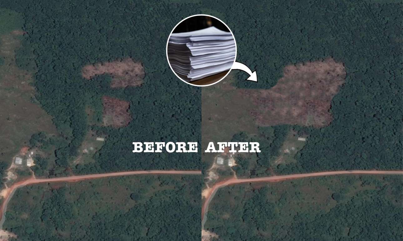 Εικόνα τρόμου: στη φωτογραφία από το Google Earth είναι εμφανής η ζημιά που προκάλεσε στο δάσος το πολυνομοσχέδιο