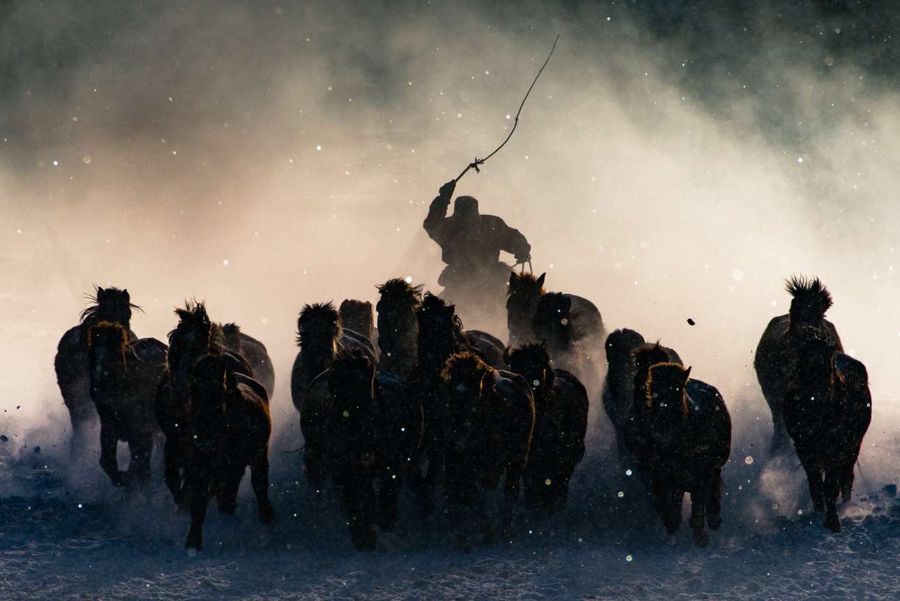 Πρώτο Βραβείο: «Ο χειμερινός ιππέας». Ενας μογγόλος ιππέας ξεπροβάλλει μέσα από την ομίχλη ένα παγωμένο πρωινό του χειμώνα, επιδεικνύοντας τις ικανότητές του να καθοδηγεί μια αγέλη άγριων αλόγων