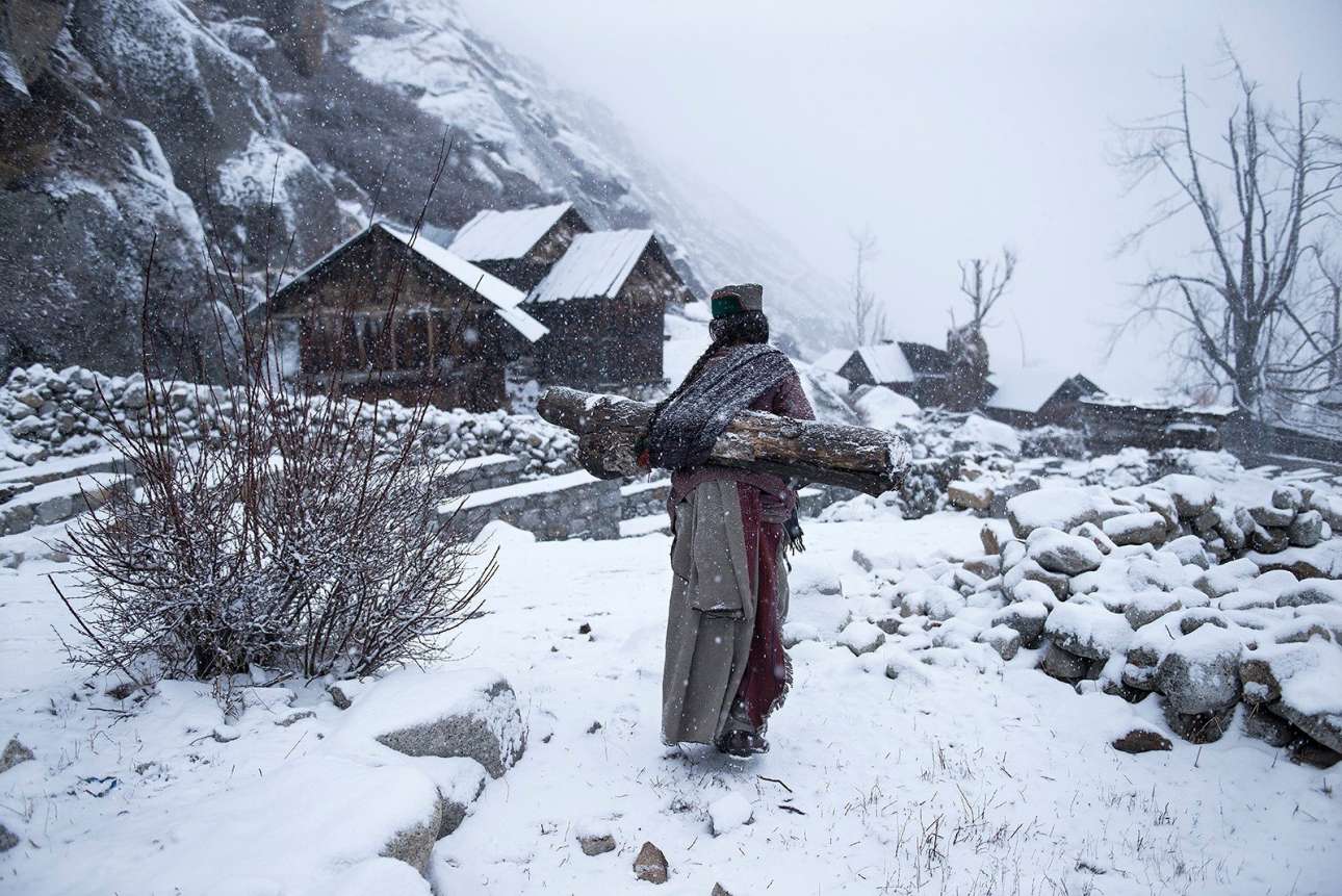 Τρίτο Βραβείο, κατηγορία Ανθρωποι: «Απομακρυσμένη ζωή στους -21C». Ηλικιωμένη γυναίκα στο Χιματσάλ Πραντές, στους πρόποδες των Ιμαλαΐων, κουβαλάει ένα μεγάλο κούτσουρο για να ζεστάνει το σπίτι της