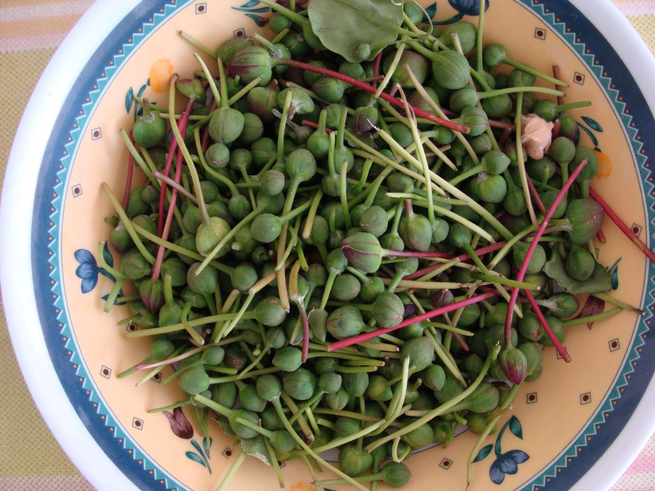 Κάπαρη τουρσί με επαγγελματικό τρόπο