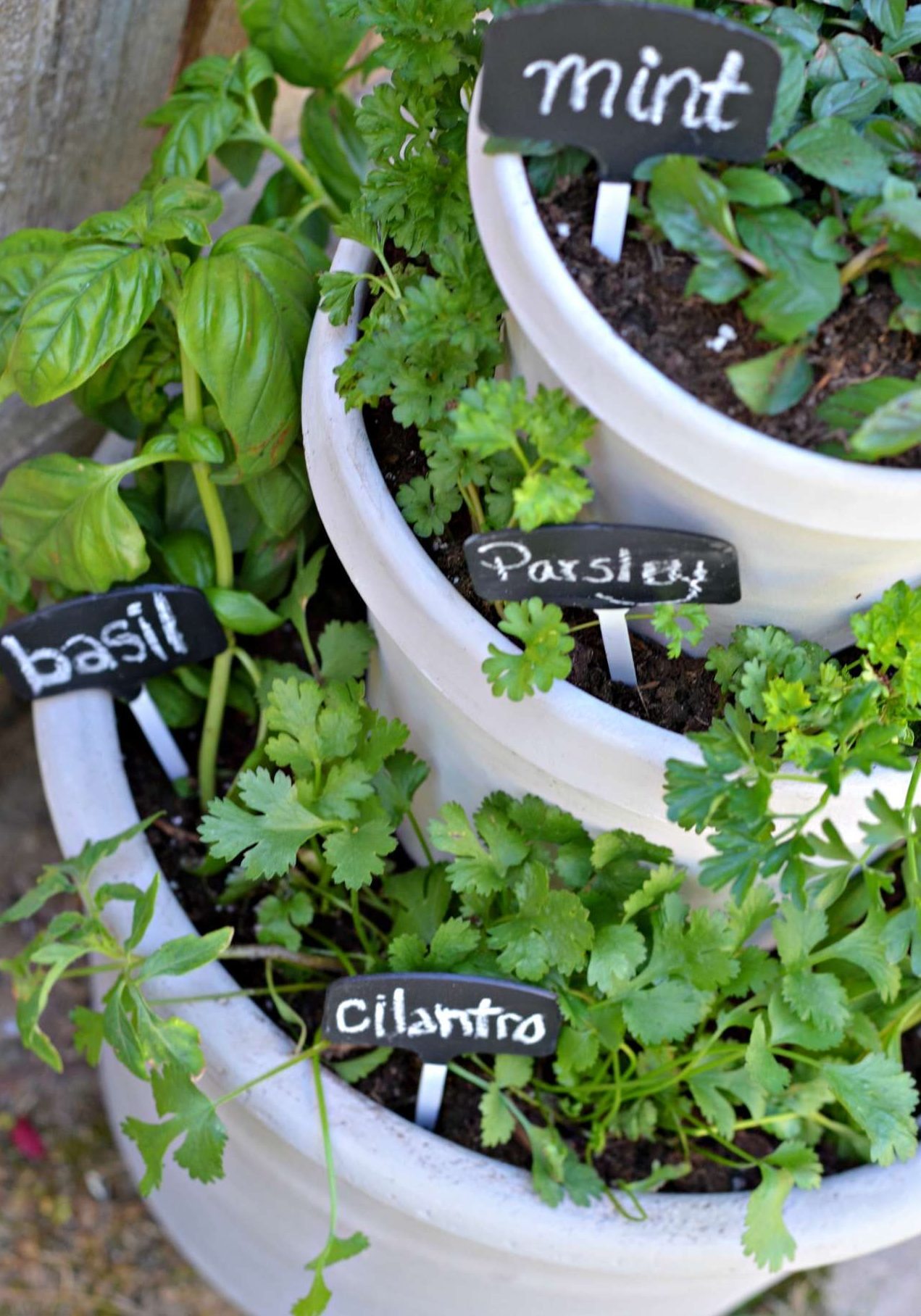 Ετοιμάζω βοτανομποστάνι για το φθινόπωρο