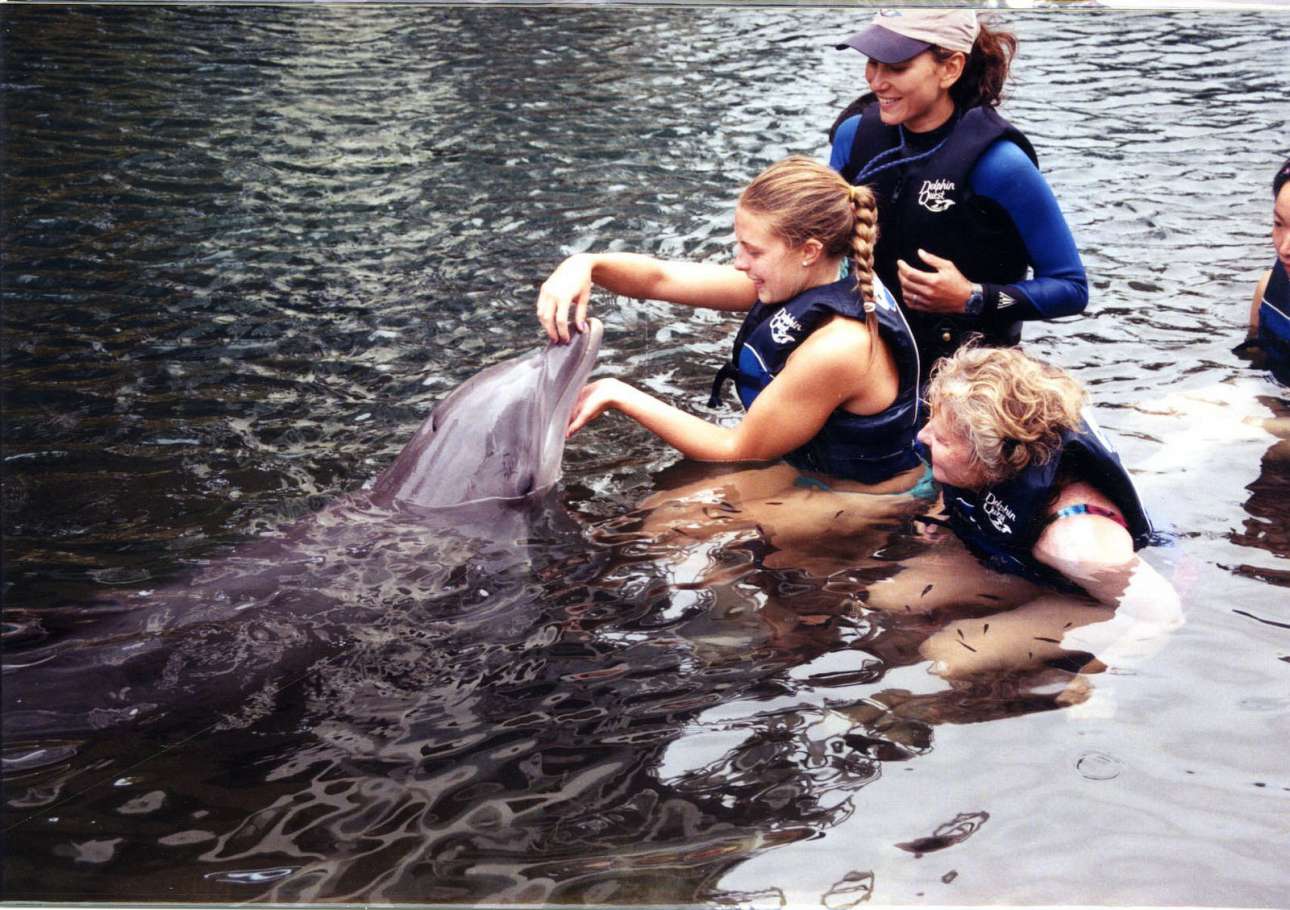 Αφήστε τα δελφίνια στην ησυχία τους