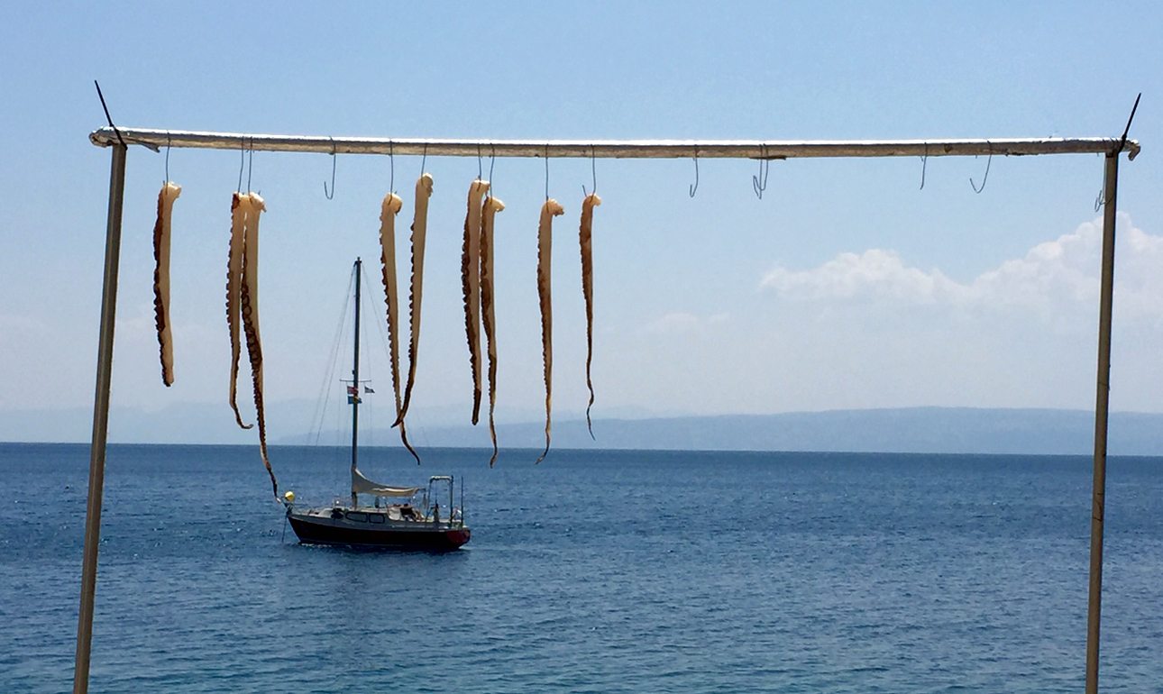 Πλοκάμια στον αέρα