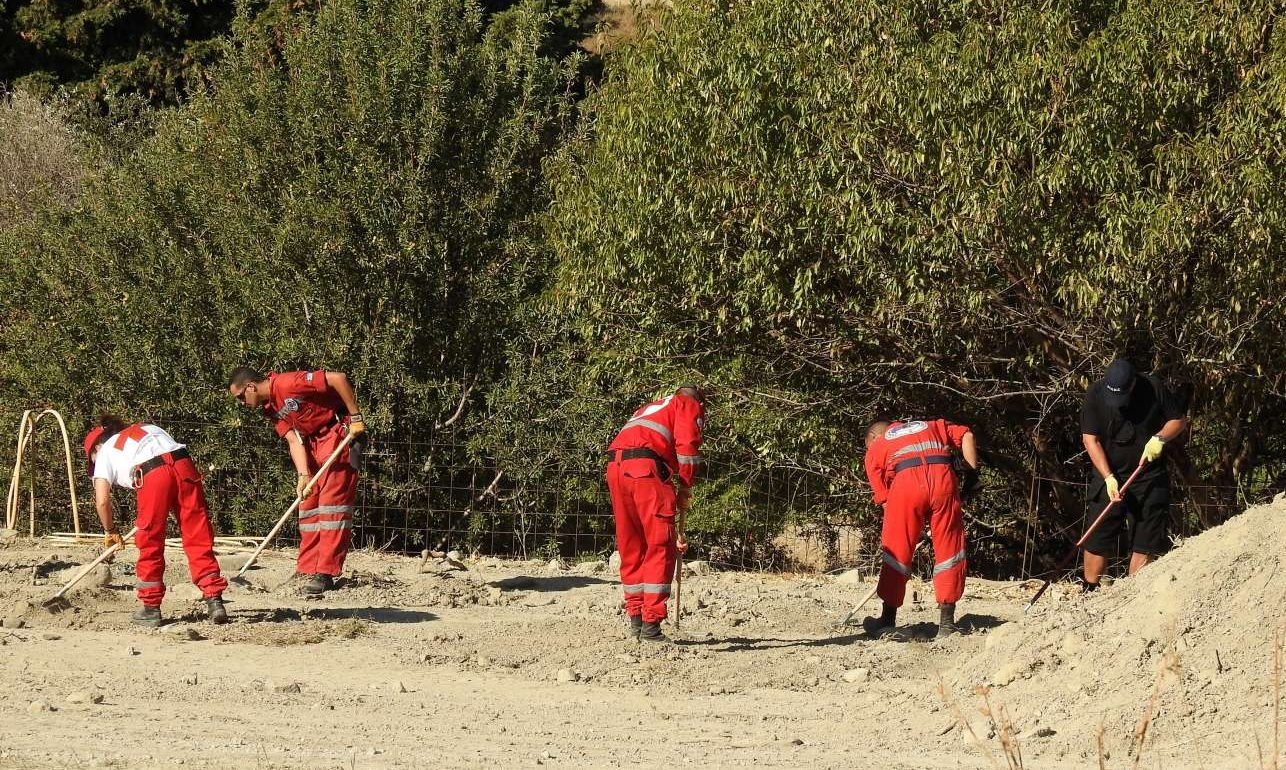 Μία συκιά ίσως λύσει την υπόθεση του Μπεν Νίνταμ