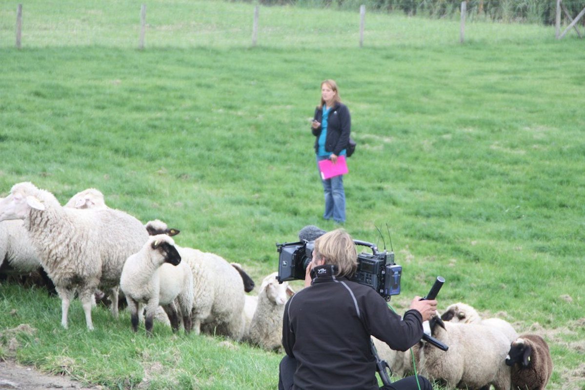 Καλογρίτσας ΤV – το πρόγραμμα